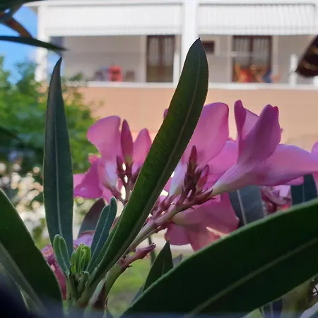 Mondeus Luxury 5* Deskati